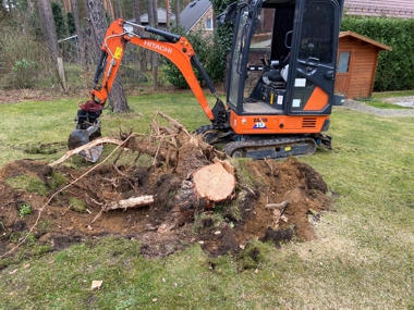 Entfernen von Wurzeln und Stämmen