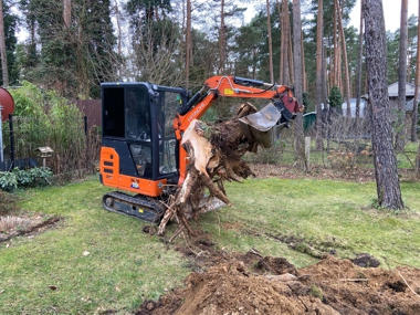 Baumfällarbeiten im Garten